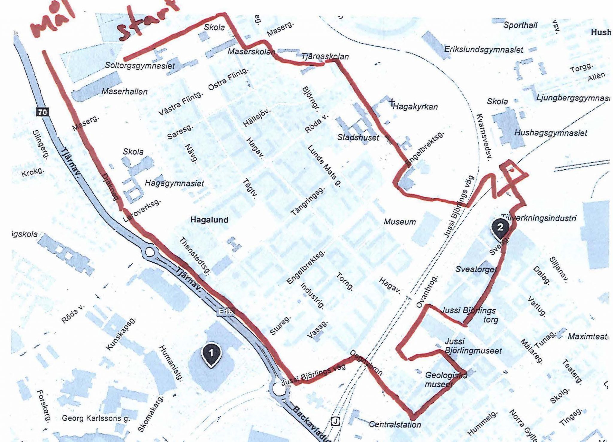 Blodomloppet 2024 - Borlänge